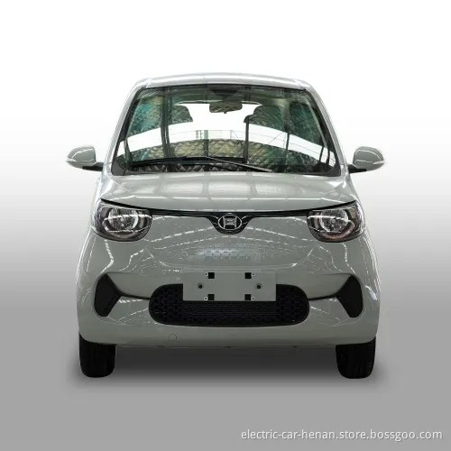 Henrey Popular Big Space Family Electric Car